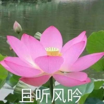 “千年画韵”韩熙载夜宴图数字作品限量发行